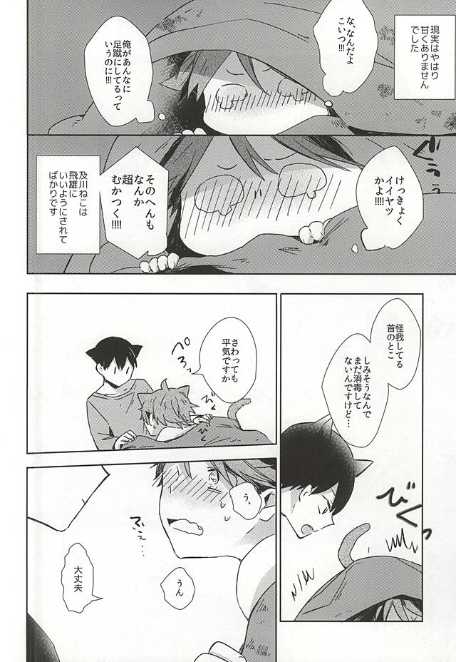 (RTS!!5) [Shounen-H (Yuuki)] Neko ni Natta Oikawa-san (Haikyuu!!) (RTS!!5) [少年H (ゆうき)] 猫になった及川さん (ハイキュー!!)