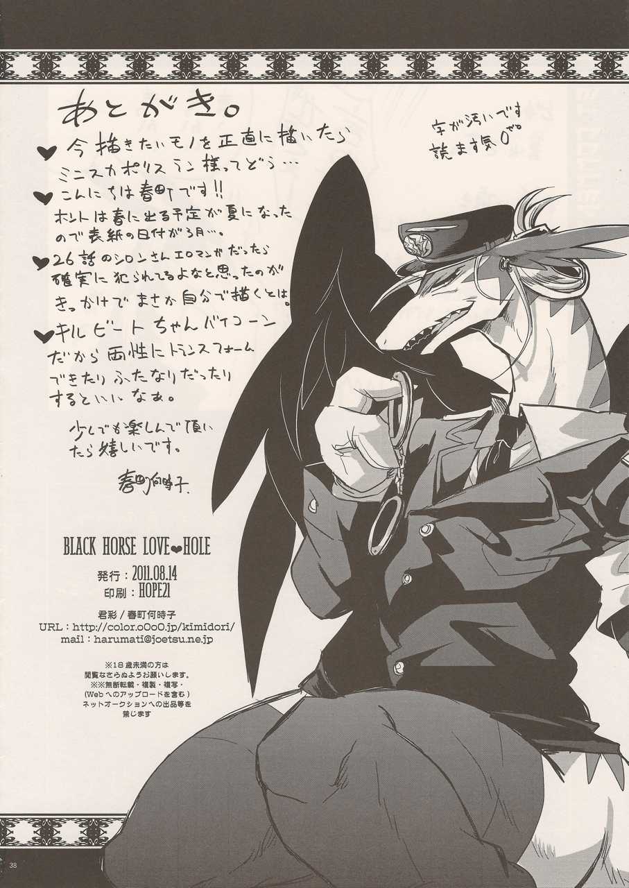 (C80) [Kimidori (Various)] Black Horse Love Hole (Legendz: Tale of the Dragon Kings) (C80) [君彩 (よろず)] Black horse love hole (レジェンズ 甦る竜王伝説)
