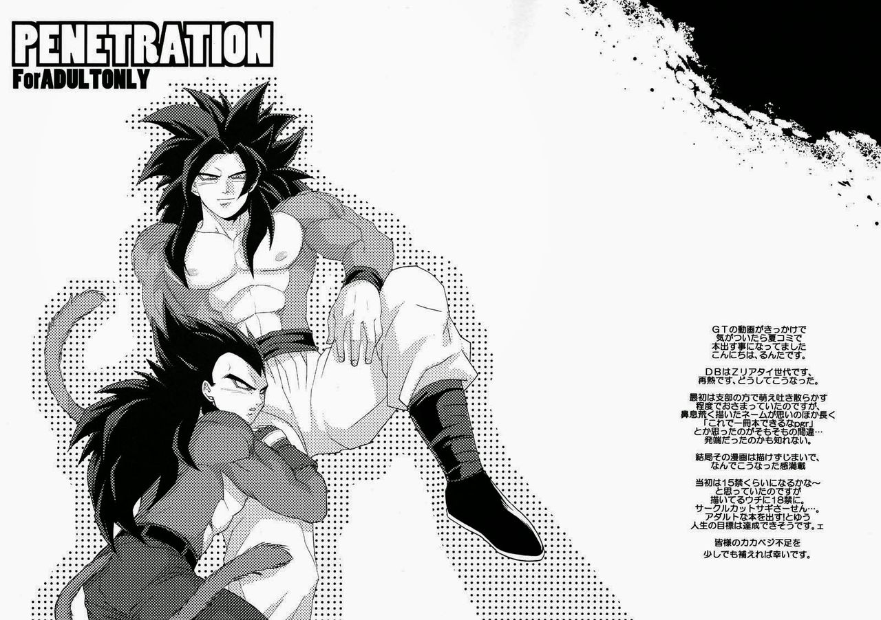 (C82) [Herumon (Runta)] Penetration (Dragon Ball GT) (C82) [へるもん (るんた)] PENETRATION (ドラゴンボールGT)