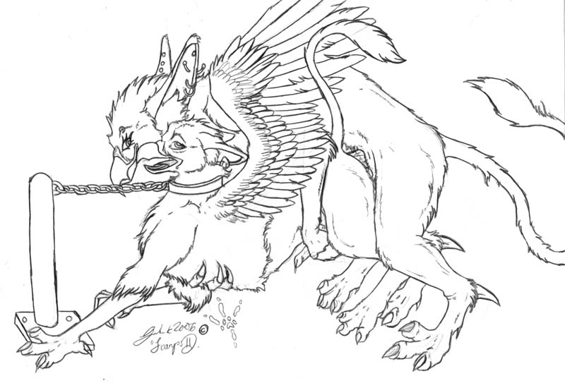 Birds and gryphons 