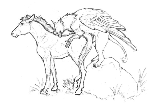 Birds and gryphons 