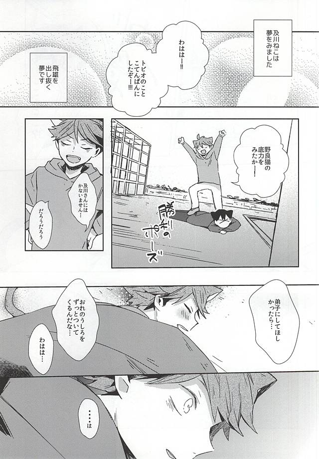 (RTS!!5) [Shounen-H (Yuuki)] Neko ni Natta Oikawa-san (Haikyuu!!) (RTS!!5) [少年H (ゆうき)] 猫になった及川さん (ハイキュー!!)