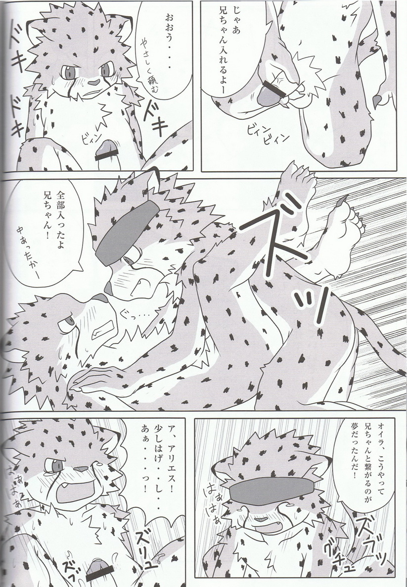 Inugami X Wildsoul - Sora wo Kakeru Cheetah 