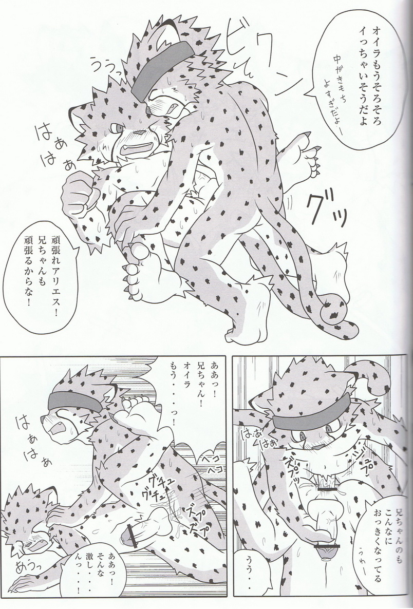 Inugami X Wildsoul - Sora wo Kakeru Cheetah 
