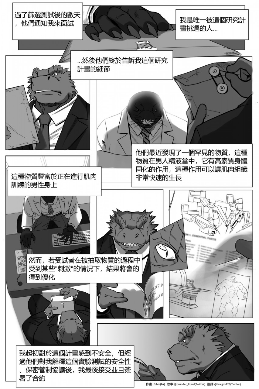 [echin][The extraction][chinese] 