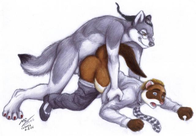 Furry Collection (Yaoi&Straight) 