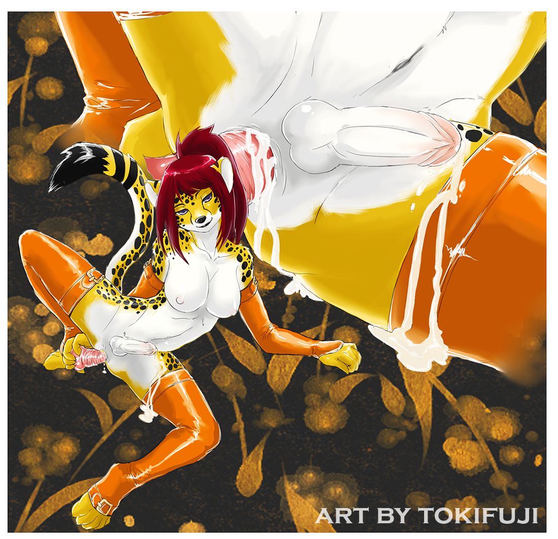 Artist - Tokifuji 